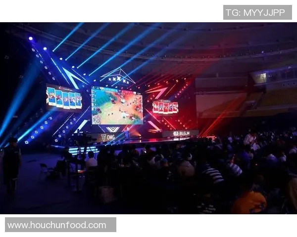 BLG战队的荣耀与挑战：DOTA2赛场上的奋斗与成长纪实