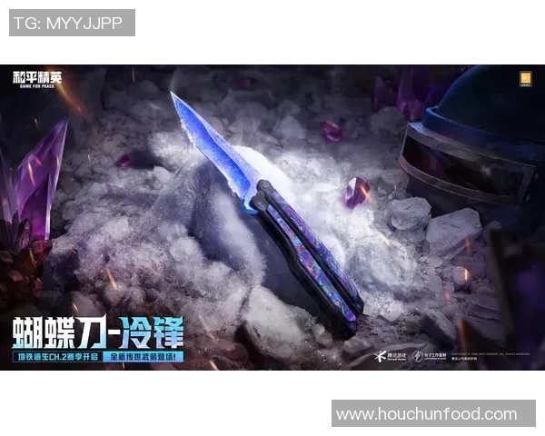 和平精英战队FPX的耐力与策略深度分析与探讨