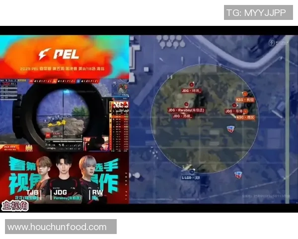 和平精英热议：JDG战队节奏引发的争议与讨论分析