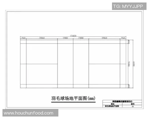 武汉羽毛球队战术解析与运营体系探讨 武汉羽毛球队战术解析与运营体系探讨