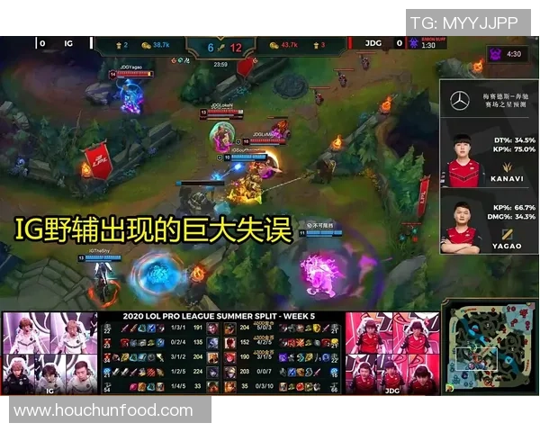 赛后分析：IG与JDG对决中的战术运用与经验总结