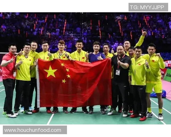 杭州羽毛球队在奥运会中的耐力表现分析与点评